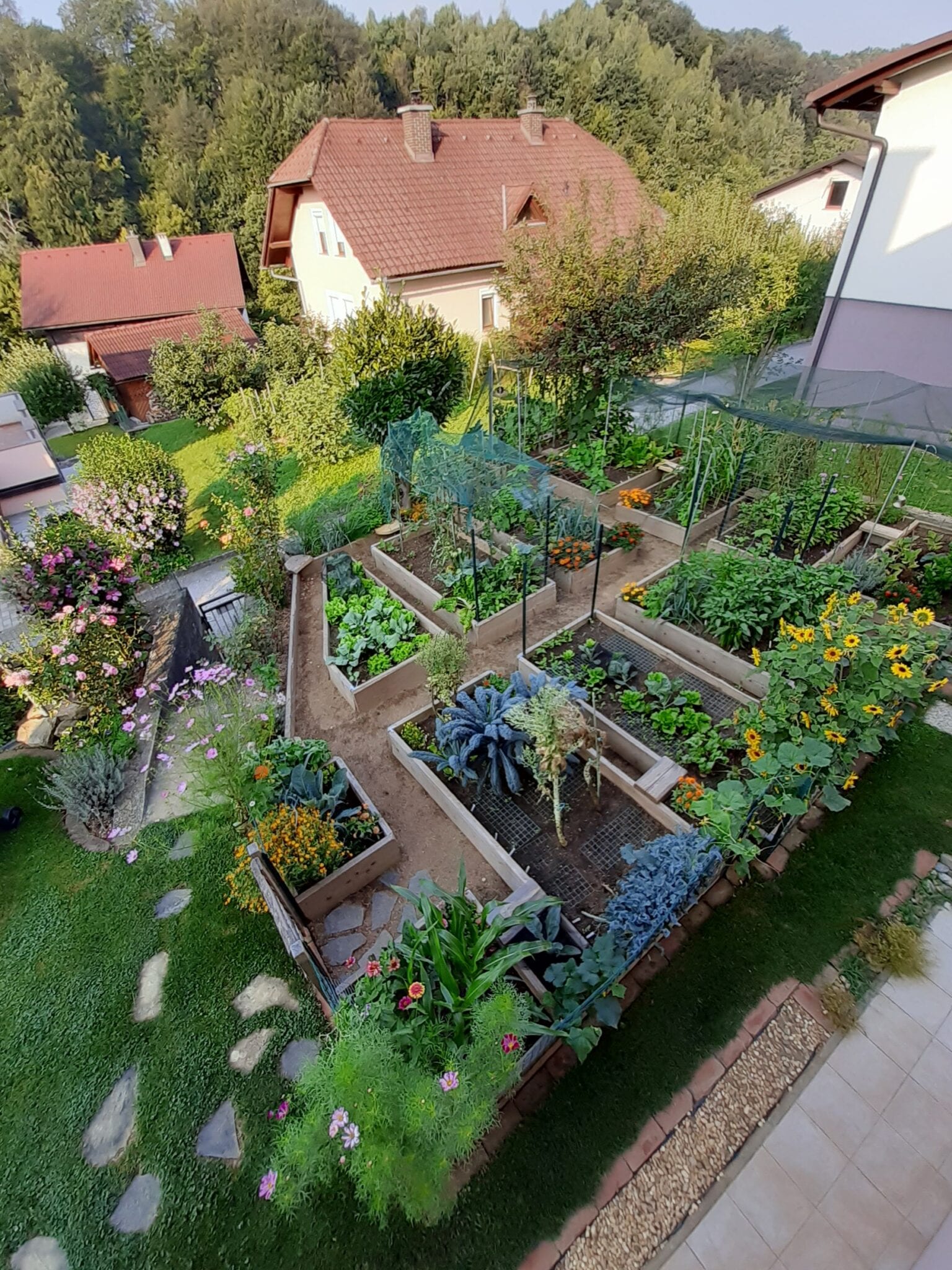 vegetable and fruit garden layout